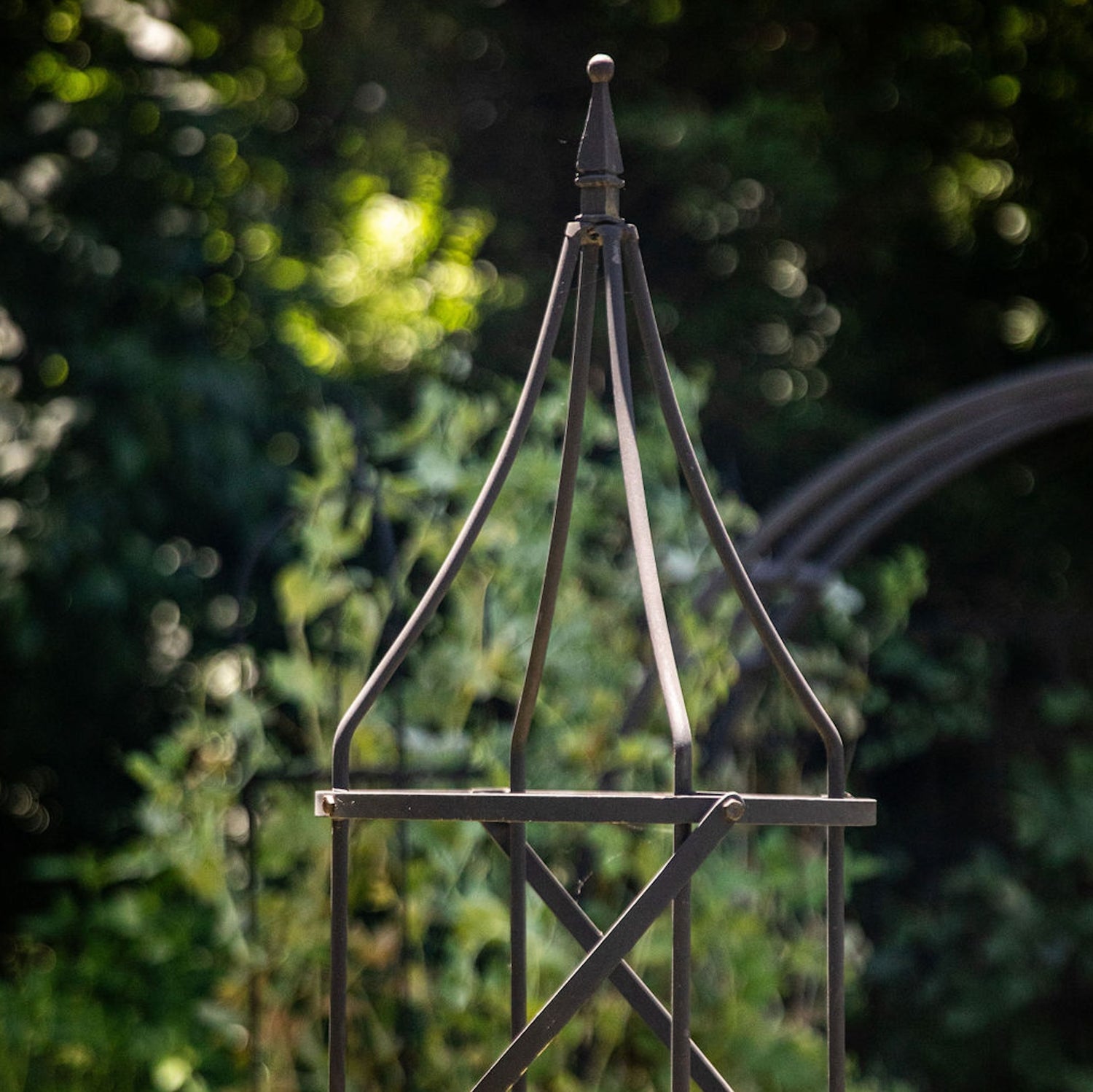 Border Tuteur Trellis