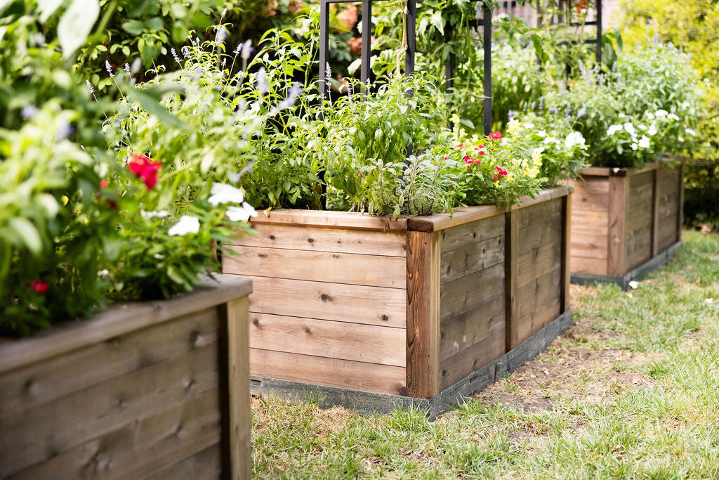 Raised garden bed for home chef herb and vegetable garden