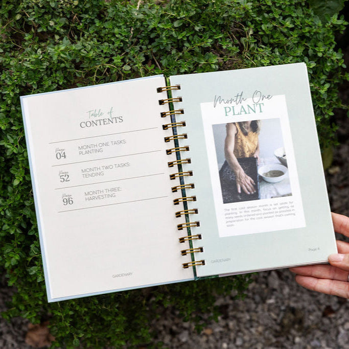 Open book with a plant-themed page held against a green outdoor background