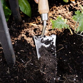 Gardenary Transplant Trowel