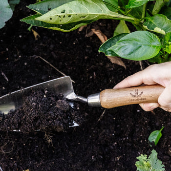 Gardenary Scoop Trowel