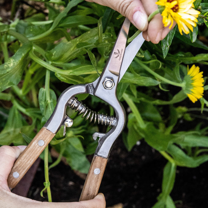 Gardenary Needlenose Pruner
