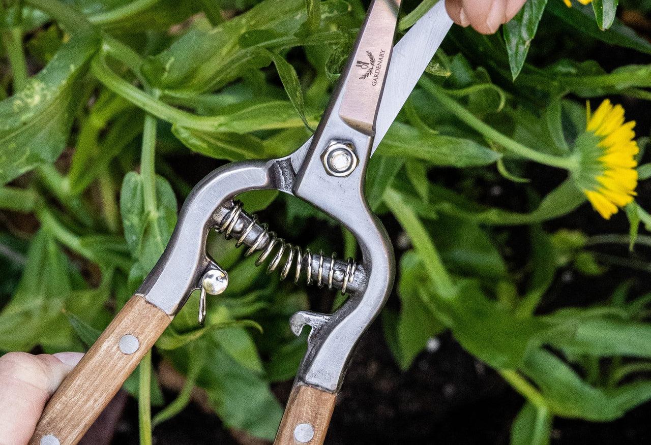 Gardenary Tending Tool Set