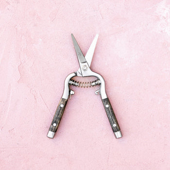 Gardenary Needlenose Pruner