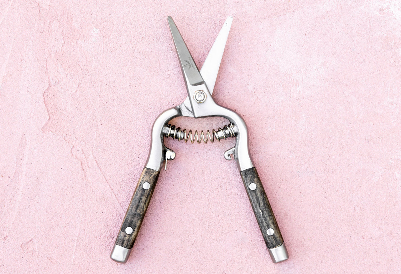 Gardenary Needlenose Pruner