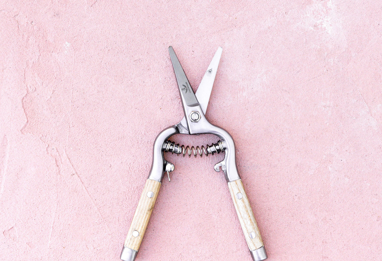 Gardenary Needlenose Pruner
