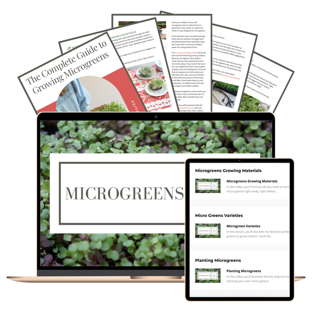 Microgreens Course