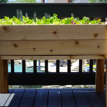 Standing Cedar Planter with Caps