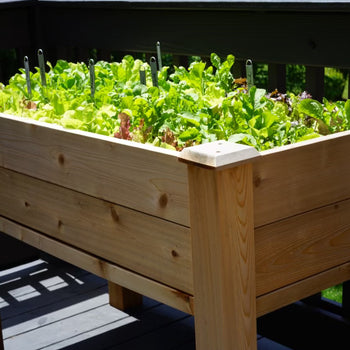 Standing Cedar Planter with Caps