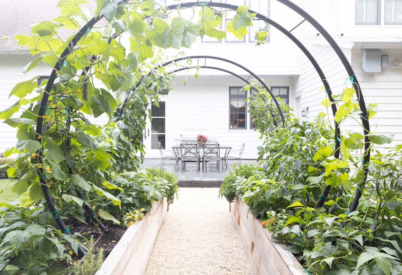 Modern Arch Trellis