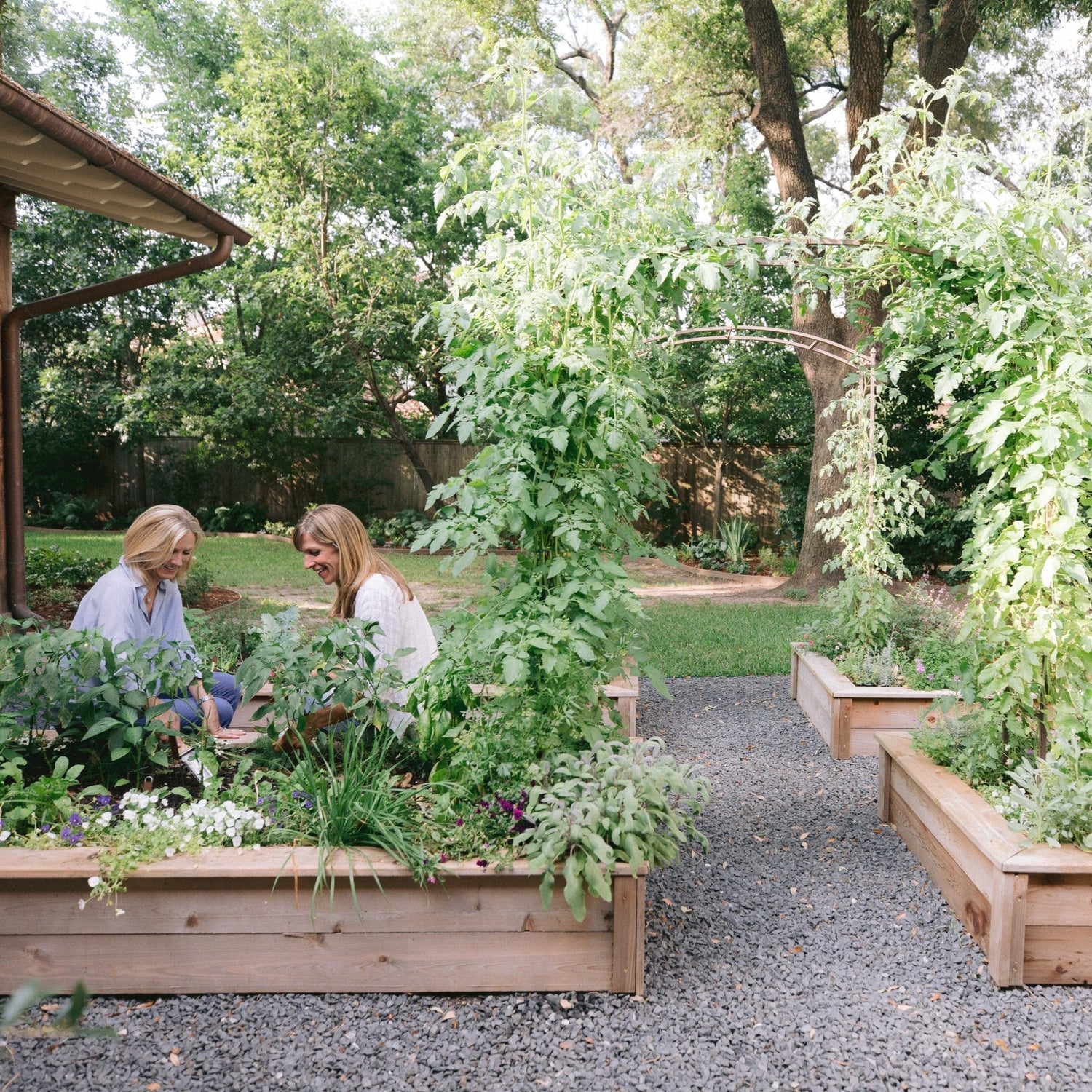 Amy Kitchen Garden Bundle