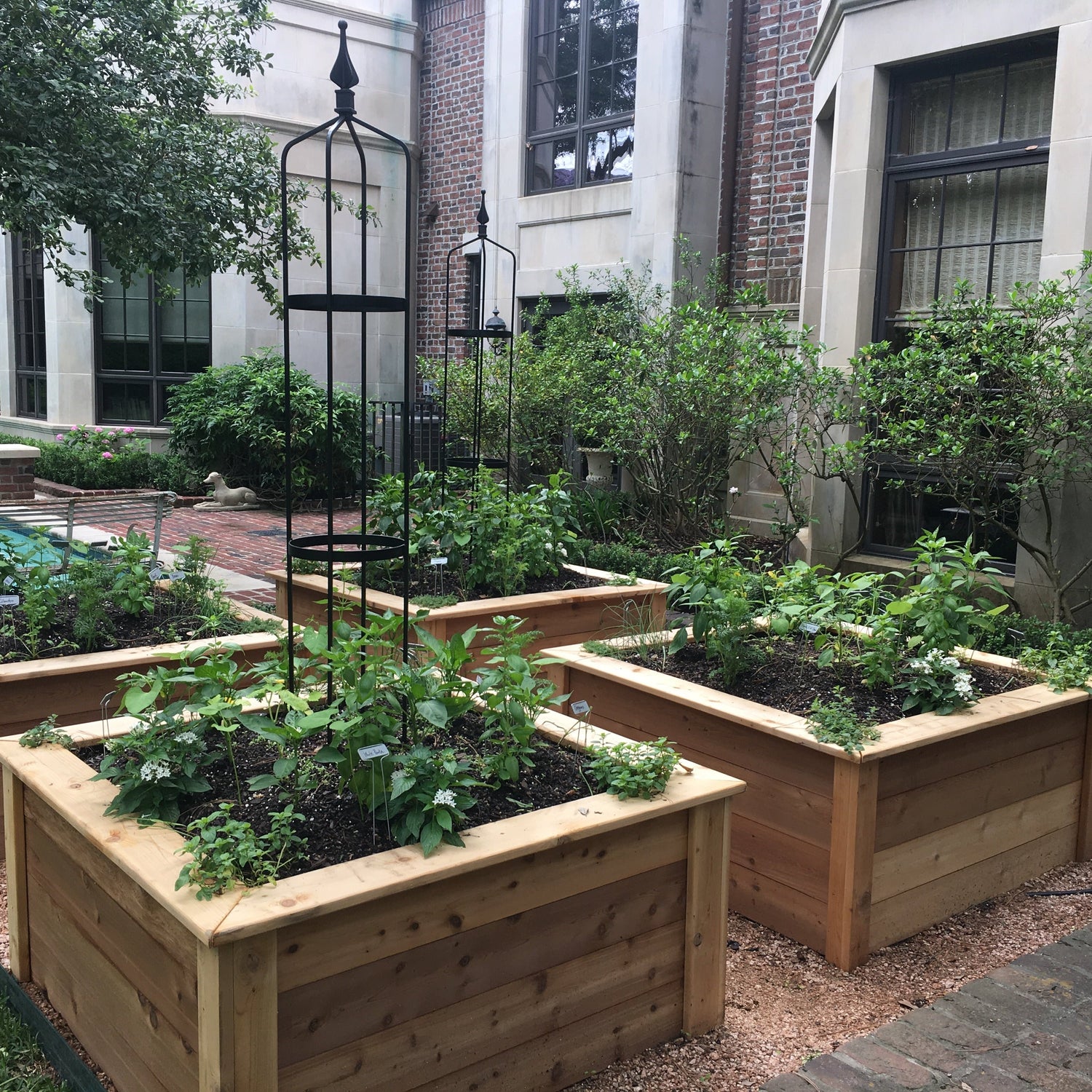 Linda Kitchen Garden Bundle