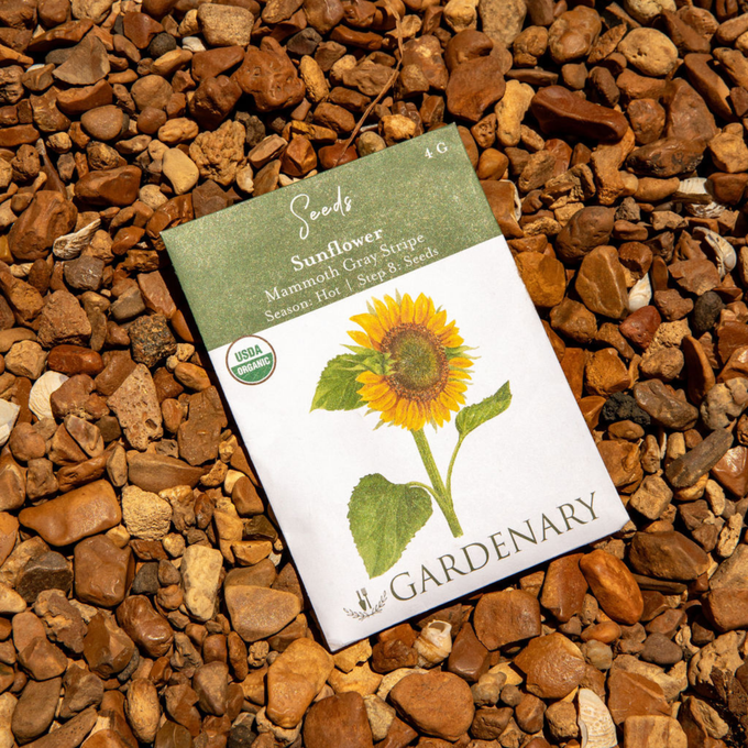 Gardenary Seeds