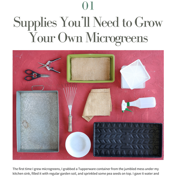 Complete Guide to Growing Microgreens Ebook