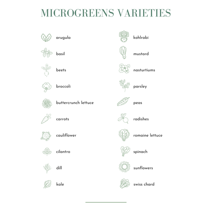 Complete Guide to Growing Microgreens Ebook
