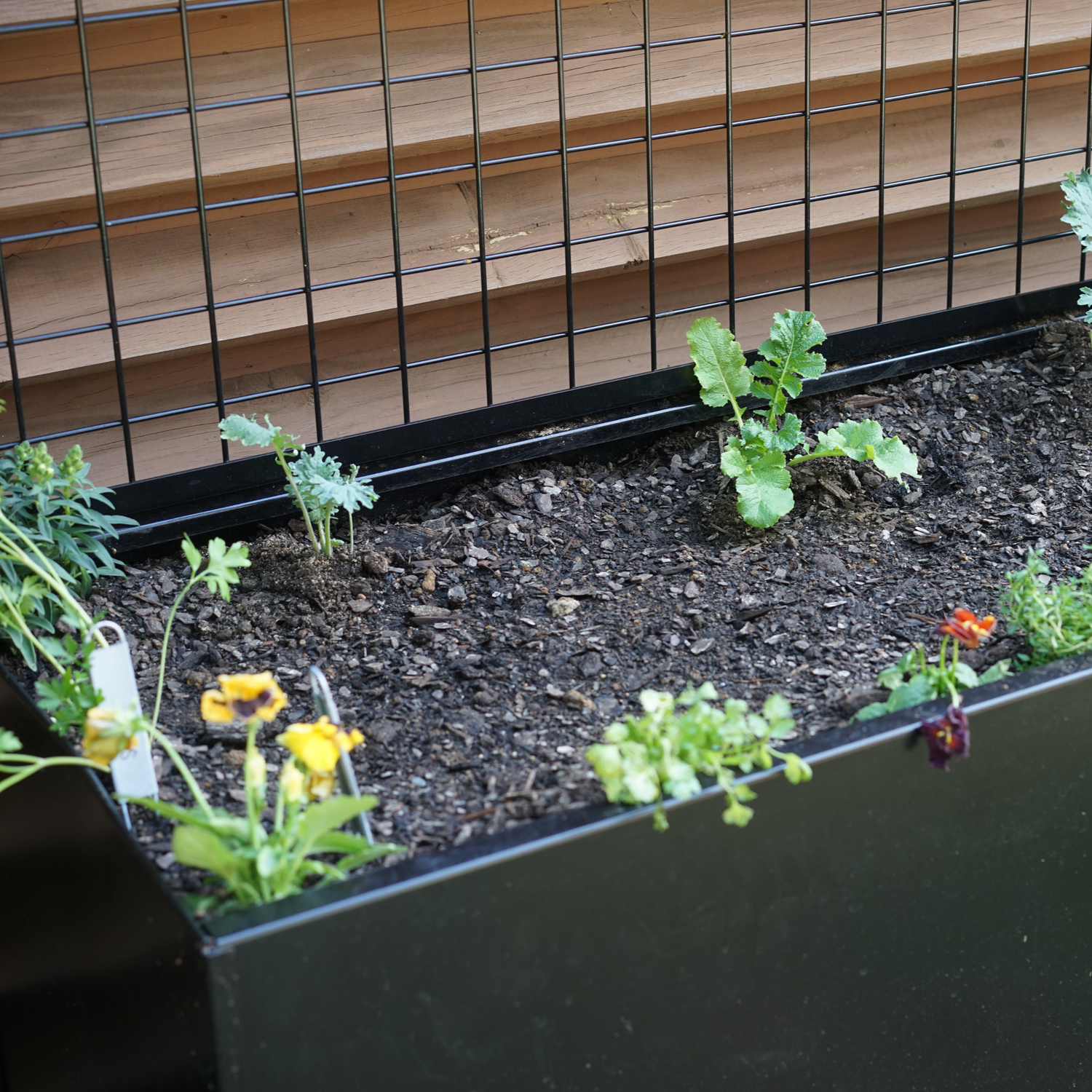 Black Aluminum Raised Bed with Trellis – Optional Casters