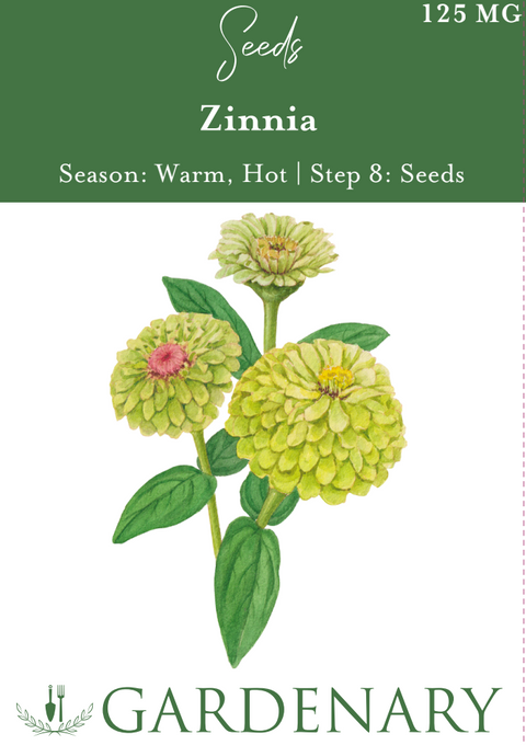 Gardenary Seeds