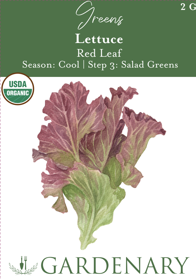 Red Leaf Lettuce Seeds