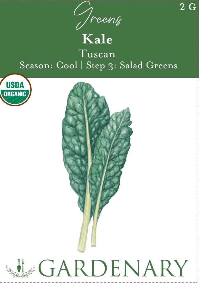 Tuscan Kale Seeds
