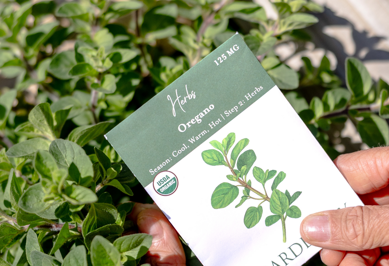 Oregano Seeds