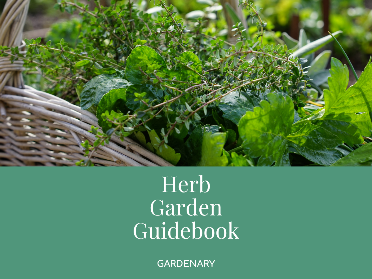 The Herb Garden Guidebook Ebook