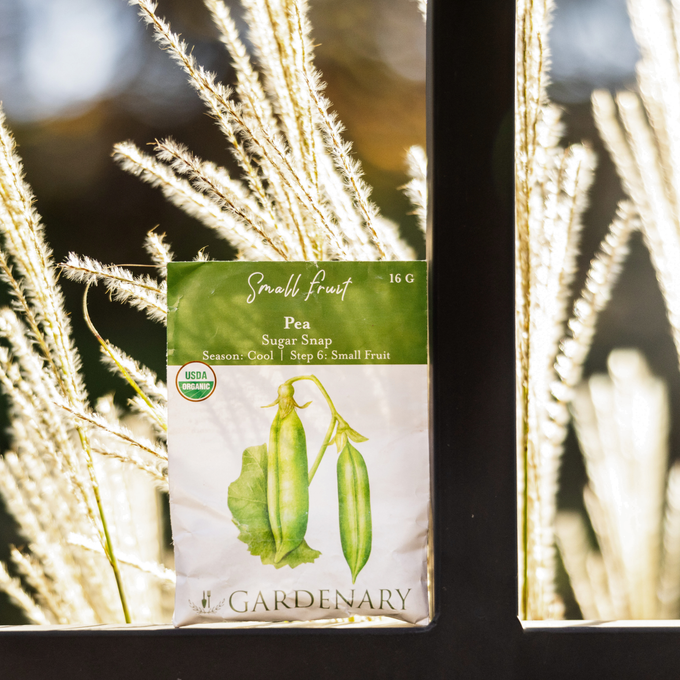 Sugar Snap Pea Seeds