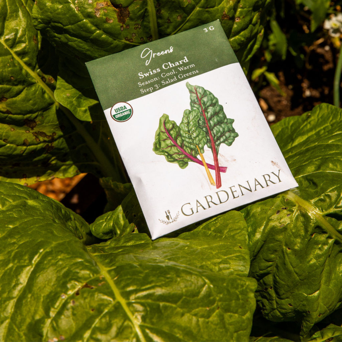 Gardenary Seeds