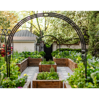 Nicole Arch Trellis