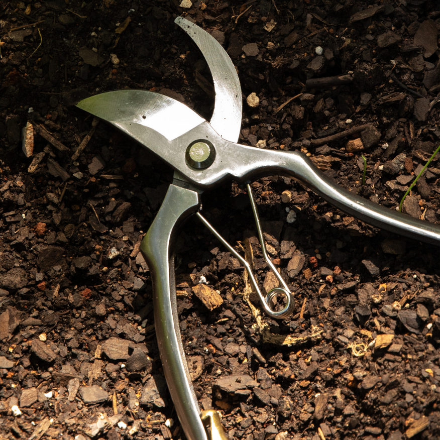 Stainless and Brass Bypass Pruners