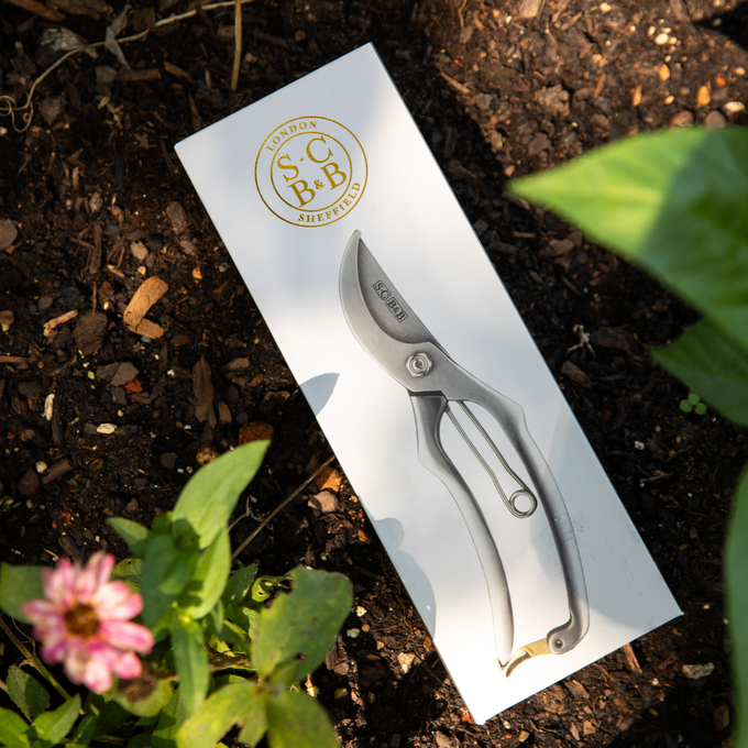 Stainless and Brass Bypass Pruners