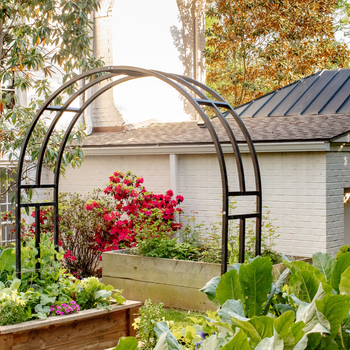 Nicole Arch Trellis