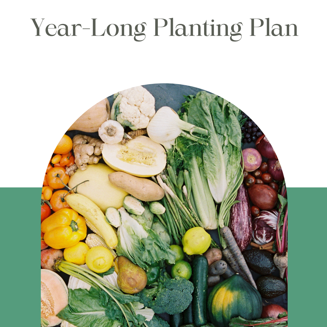 A gardening guide cover titled 'Year-Long Planting Plan' featuring a colorful assortment of fresh vegetables arranged in an arch on a dark surface.
Great for home gardeners.