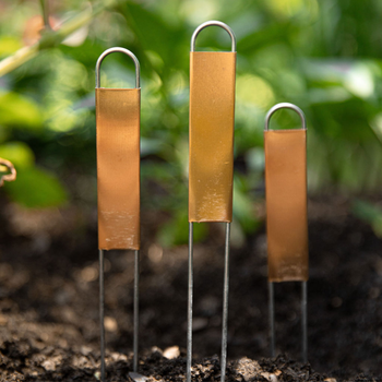 Copper 12" Hairpin-Style Plant Labels