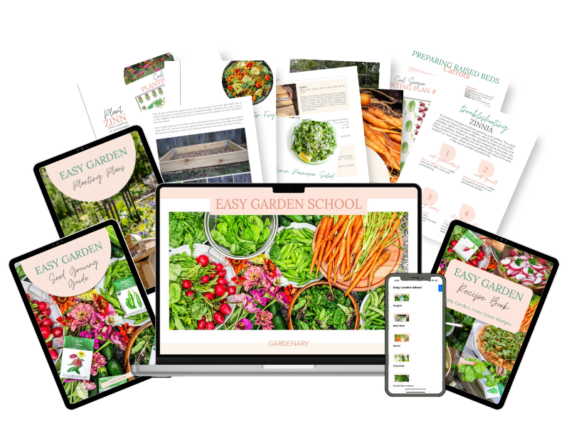 Easy Garden School