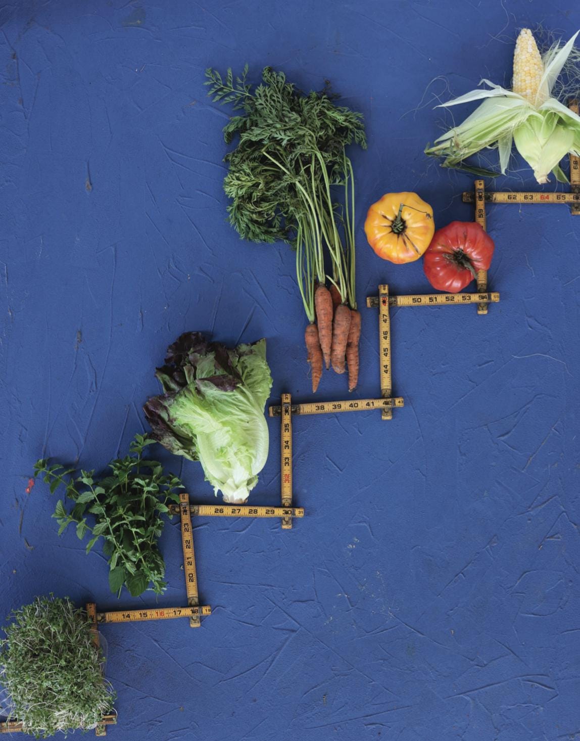 Nicole's Essential Gardening Book Trio