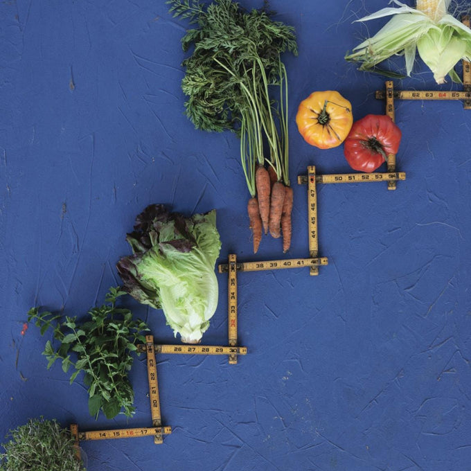 Book Trio: Kitchen Garden Revival, Leaves, Roots and Fruit, and The 5-Minute Gardener