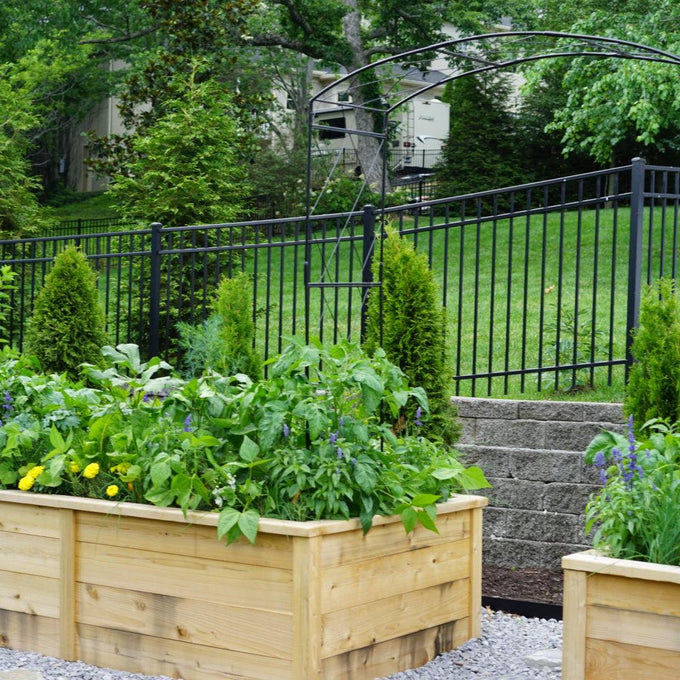 Cedar Raised Bed Gardens with Trim
