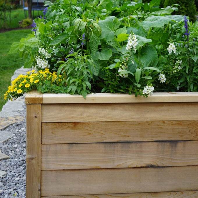 Cedar Raised Bed Gardens with Trim