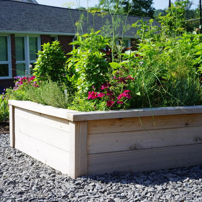 Cedar Raised Bed Gardens with Trim