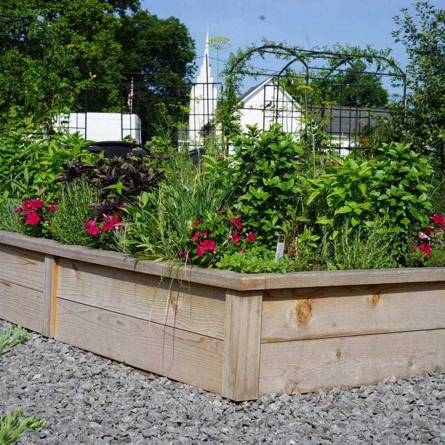 Cedar Raised Bed Gardens with Trim