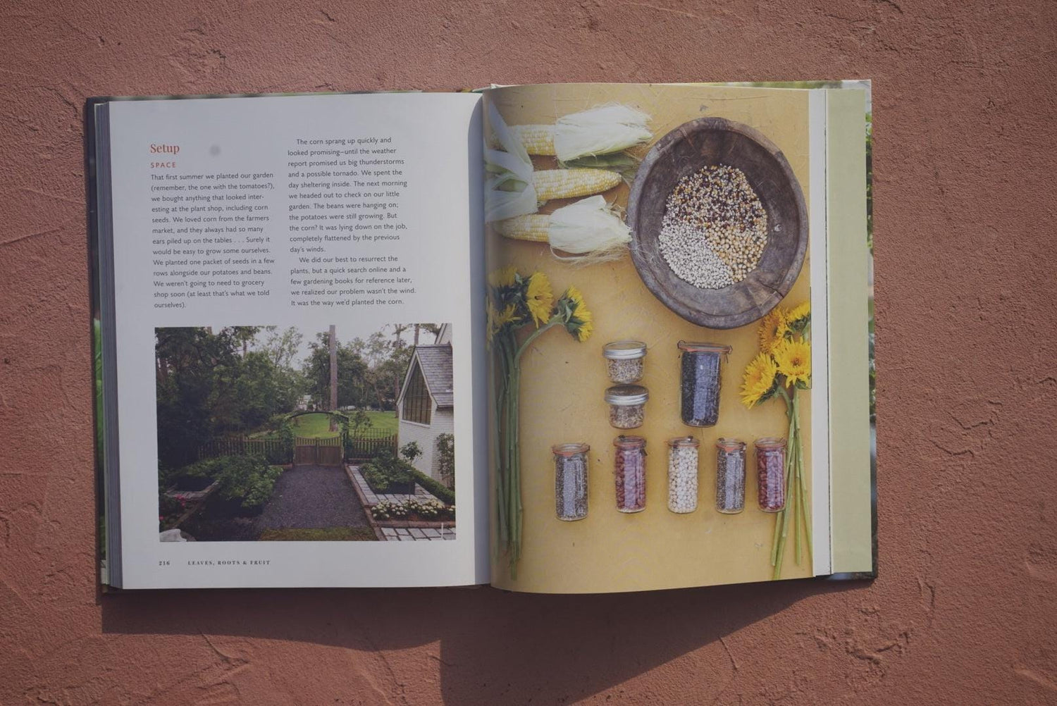 Leaves, Roots and Fruit Book by Nicole Burke
