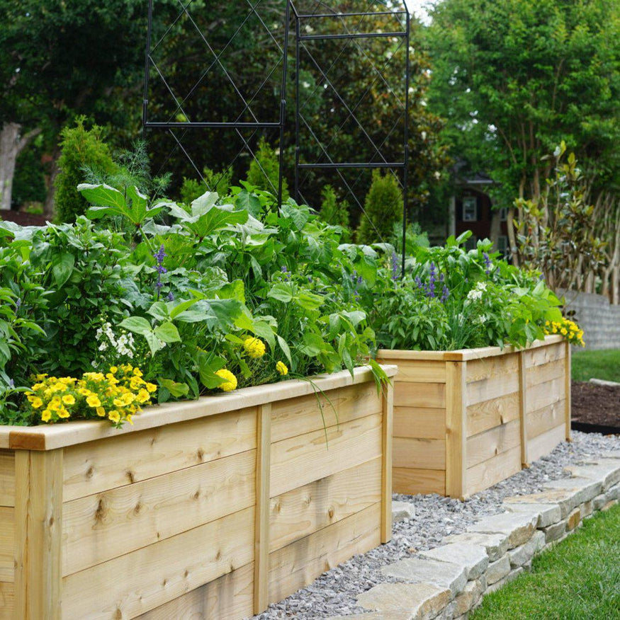 Cedar Raised Bed Gardens with Trim