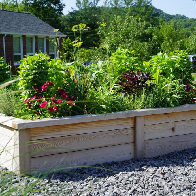 Cedar Raised Bed Gardens with Trim