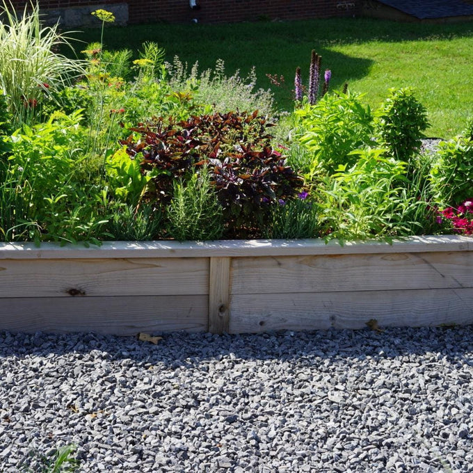Cedar Raised Bed Gardens with Trim
