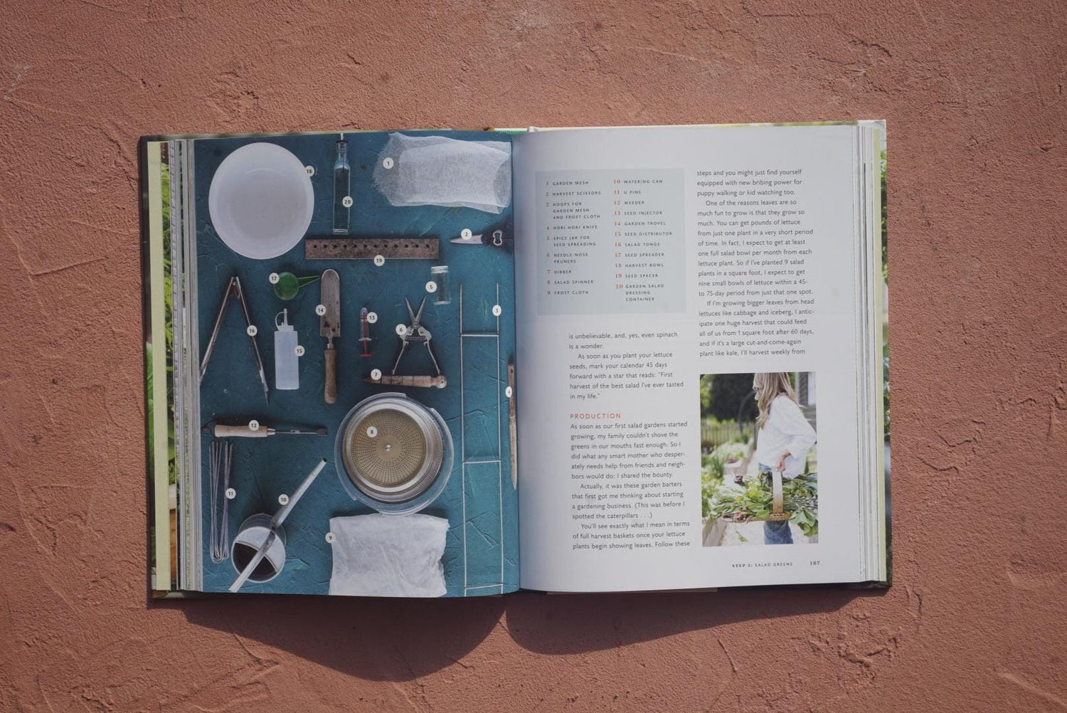 Leaves, Roots and Fruit Book by Nicole Burke