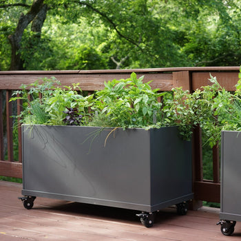 Aluminum Raised Bed on Wheels