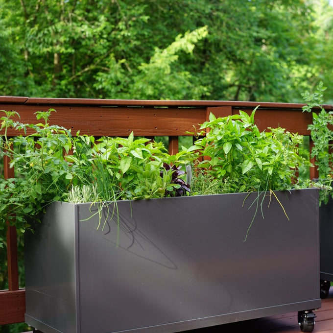 Aluminum Raised Bed on Wheels