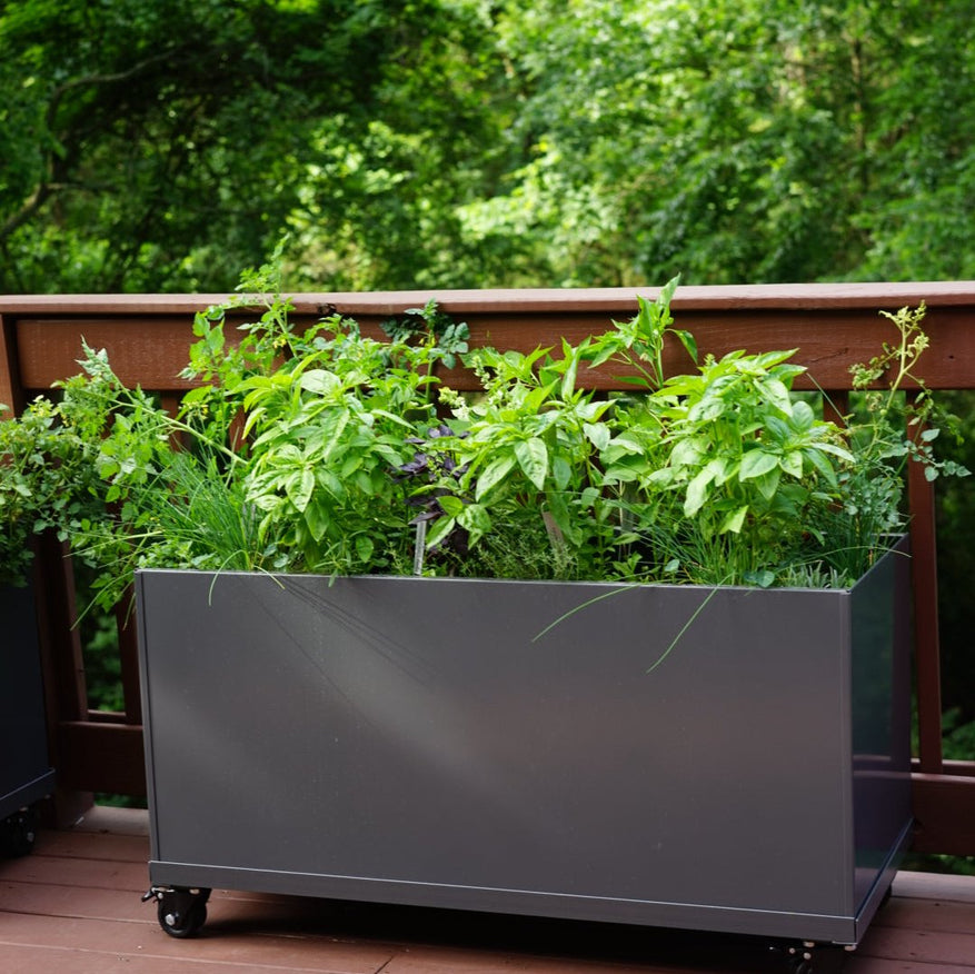 Aluminum Raised Bed on Wheels