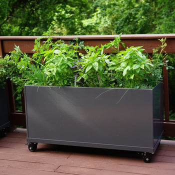Aluminum Raised Bed on Wheels