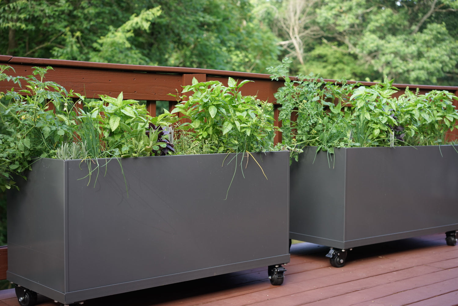 Aluminum Raised Bed (Optional Casters or Tray)